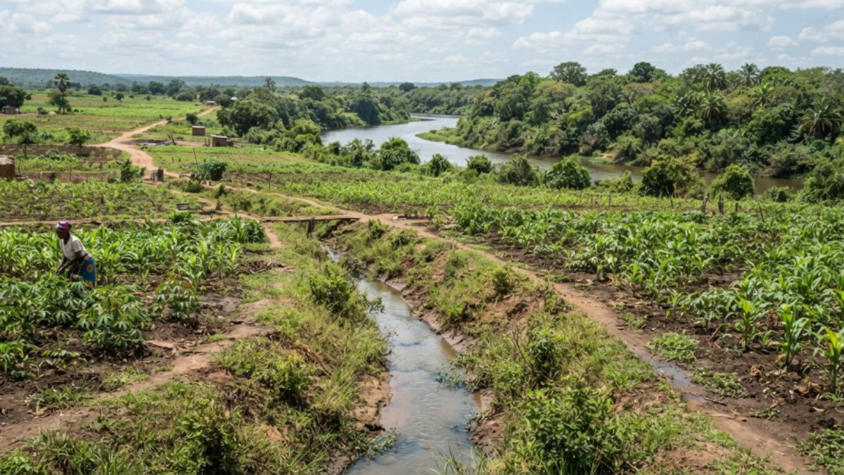 Vala de escoamento simples a atravessar uma machamba perto de um rio, vegetação ribeirinha ao fundo.
